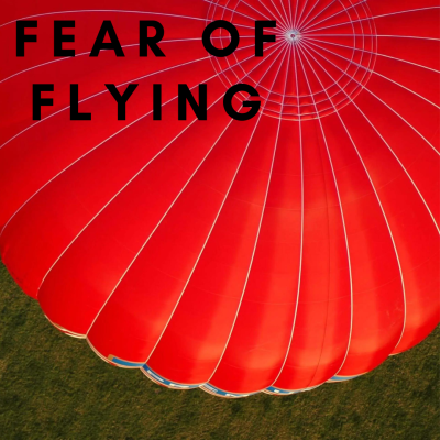 Fear of flying bundle